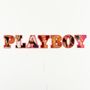 Other wall decoration - Playboy LED Wall Mounted Sign - Playboy-Red - LOCOMOCEAN