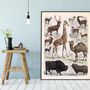 Poster - Posters - Zoology - THE DYBDAHL CO.