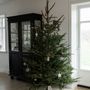 Design objects - Christmas Tree Holder - Back to the roots - GARDEN GLORY