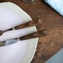 Flatware - 4 pieces cutlery set - Light press wood - SABRE PARIS