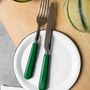 Ménagères - Set de 4 couverts de table - Pop, Vert - SABRE PARIS