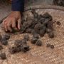 Throw blankets - Gradient Salmon Ikat Cotton Throw - TAI BAAN CRAFTS