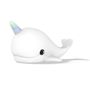 Gifts - Narwhal Northern Lights - DHINK.EU