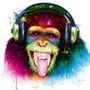 Paintings - DJ Monkey - MUUSE