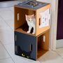 Design objects - Eco-sustainable cat bed and dog house, Catpotai and Dogpotai - RIPPOTAI