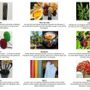 Décorations florales - RUBY - FG IMPORTS
