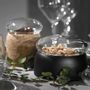 Design objects - Boletus Cork/Clear Glass - CHICURA COPENHAGEN