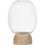 Vases - Vase Morchella en Chêne/Verre Transparent  - CHICURA COPENHAGEN