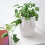 Vases - SEINS EN VASE DE FLEUR HF - HELIO FERRETTI
