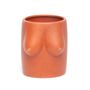 Vases - SEINS EN VASE DE FLEUR HF - HELIO FERRETTI