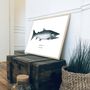 Affiches - Affiche Le Saumon Atlantique - Reproduction sur papier d'art - VAREK ILLUSTRATIONS