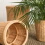 Decorative objects - Rattan Round Planter BELIZE set 3 - MAHE HOMEWARE