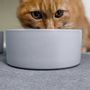 Outdoor decorative accessories - CERAMIC BOWL for gray round cat dogs - OSNA