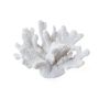 Other wall decoration - CORAIL TO PUT WHITE - - AMADEUS