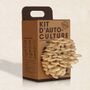 Cadeaux - Kit de auto-culture de délicieux champignons - RESETEA