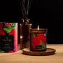 Gifts - Artisan scented candle\" Zörka\ " - TIBATIKA