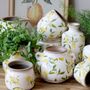 Pottery - Limone planters, vases and bottles - CHIC ANTIQUE A/S