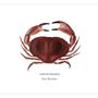 Poster - The Red Crab poster - Reproduction on art paper - VAREK ILLUSTRATIONS