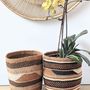 Decorative objects - Sisal cachepot basket - MALKIA HOME