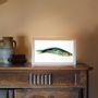 Lampes à poser - Sardine - aquarium à vision - CHARLOTTE MASSIP
