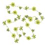 Jewelry - NECKLACE\" CRYSTAL\” CACTUS - KARAWAN AUTHENTIC