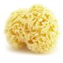 Beauty products - NATURAL SEA SPONGE - KARAWAN AUTHENTIC