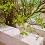 Floral decoration - Handcrafted artificial branches, leaves and greenery. - SILK-KA BV