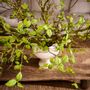 Floral decoration - Handmade artificial branches, leaves and greenery. - SILK-KA BV