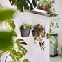 Vases - Wall Planters - CITYSENS