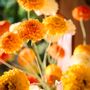 Décorations florales - Des soucis artificiels, de dangereuses fleurs dorées. - SILK-KA BV