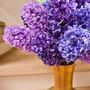 Décorations florales - Les jacinthes artificielles, un véritable joyau parmi les fleurs de début de saison. (collection Real Touch) - SILK-KA BV