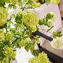 Floral decoration - Artificial Viburnum, a truly feast for the eyes. - SILK-KA BV