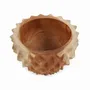 Bowls - The Teak Root Durian Bowl - S - BAZAR BIZAR - COASTAL LIVING