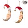Other Christmas decorations - SUPER XMAS CRATER MOON ORN ASS/2 GLD/RD 13,5CM - GOODWILL M&G