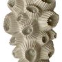 Unique pieces - ZOA and ZOALONG - VERO REATO - ORGANIC MINERAL
