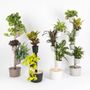 Other smart objects - SMART Self-Watering Vertical Planter compatible with Alexa or Google Assist - CITYSENS