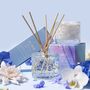 Cadeaux - Diffuseur FLWR Reed - THE AROMATHERAPY CO.