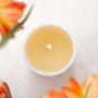 Candles - Naturals Scented Soy Wax Candle - THE AROMATHERAPY CO.