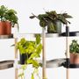 Autres objets connectés  - Étagère pour plantes à 4 plateaux et arrosage automatique - CITYSENS