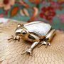 Objets de décoration - Boîte grenouilles en laiton recyclé et nacre naturelle - WILD BY MOSAIC