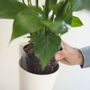 Vases - Modular Vertical planter - CITYSENS