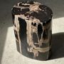 Coffee tables - Petrified wood side table, pedestal table or side furniture - OFFICE OBJETS