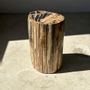 Coffee tables - Petrified wood side table, pedestal table or side furniture - OFFICE OBJETS