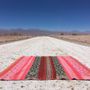 Upholstery fabrics - Andean Frazada - LLAMATIVE