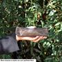Petite maroquinerie - Mini Trousse à Stylos en cuir pailleté - LA CARTABLIÈRE