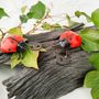 Decorative objects - INSECTS MADE OF RECYCLED METAL - TERRE SAUVAGE