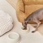 Pet accessories - Bone White Ceramic Dog Bowl, Bole - CAFIDE PETS S.L.