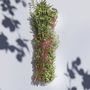 Gifts - fumigation stick - Hedgehog Bouquet - TOTEM NATURE