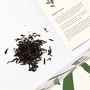 Coffee and tea - Da Hong Pao - Loose leaf tea - BBF PARIS
