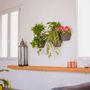 Décorations florales - Jardin vertical intérieur - modulaire & personnalisable - CITYSENS